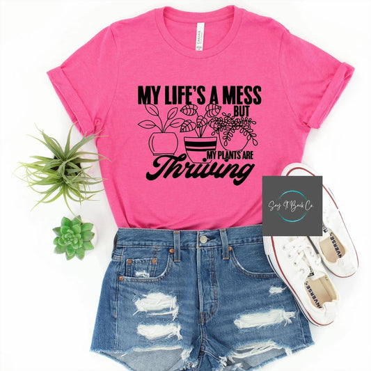 My Life is a Mess