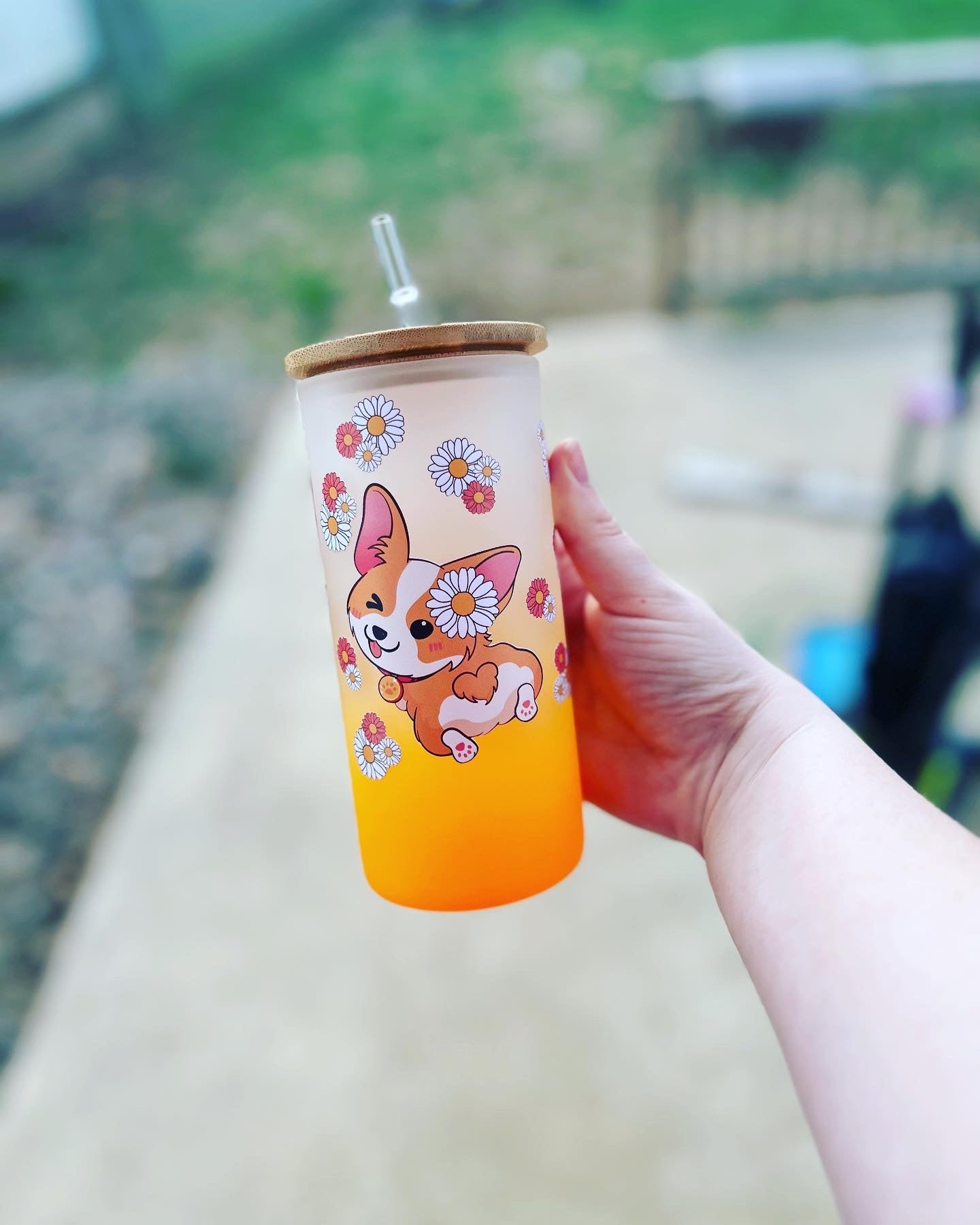 Corgi's and Daisies
